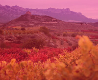 Villaverde de Rioja